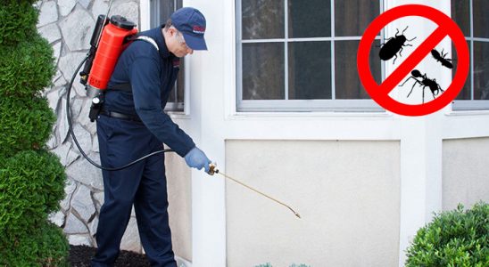 Yurdoğlu Hamam Böceği İlaçlama böcek ilaçlama ve haşere kontrolü — ilaclama-tr.com